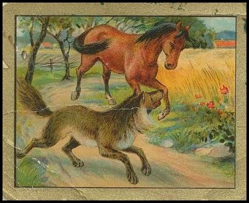 T57 97 The Wolf And The Horse.jpg